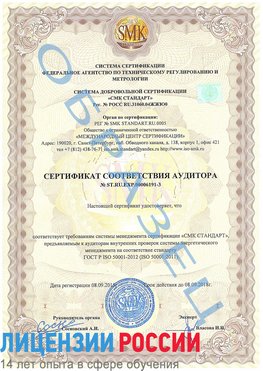 Образец сертификата соответствия аудитора №ST.RU.EXP.00006191-3 Городище Сертификат ISO 50001